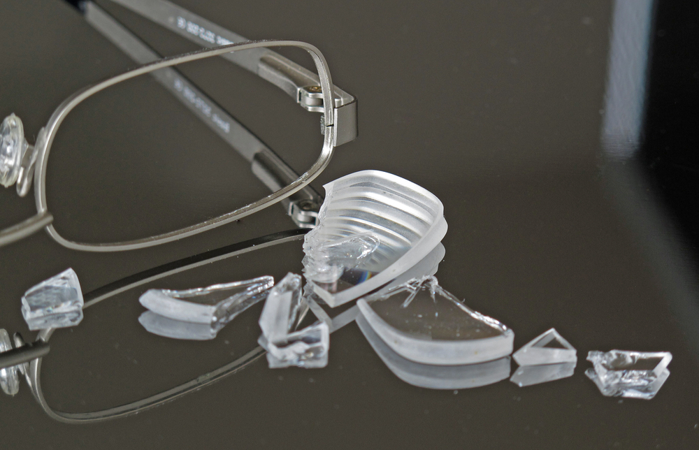 My Dog Ate Glass: Our Vet Explains the Potential Risks, Signs & Next Steps