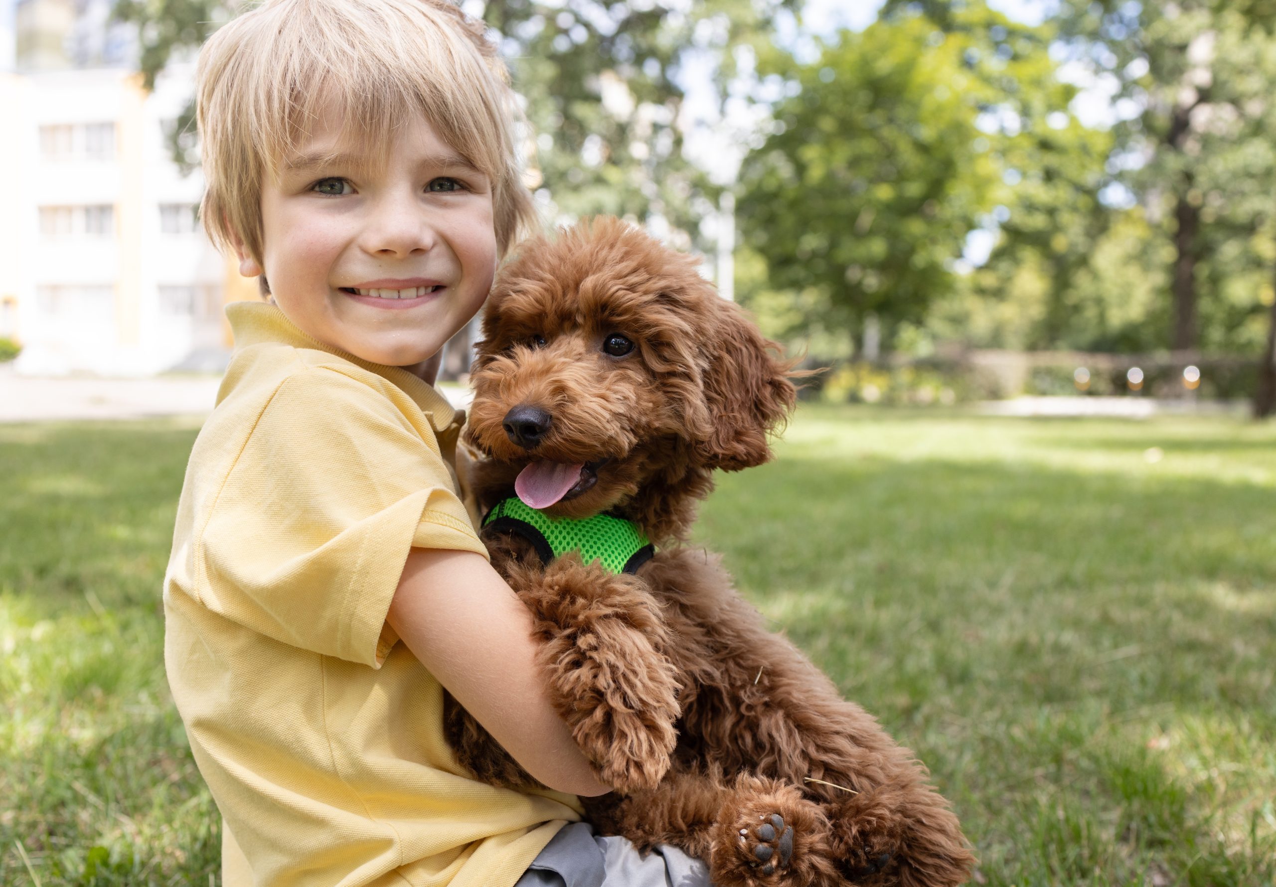 smiling boy sits on the grass with a fluffy brown poodle puppy