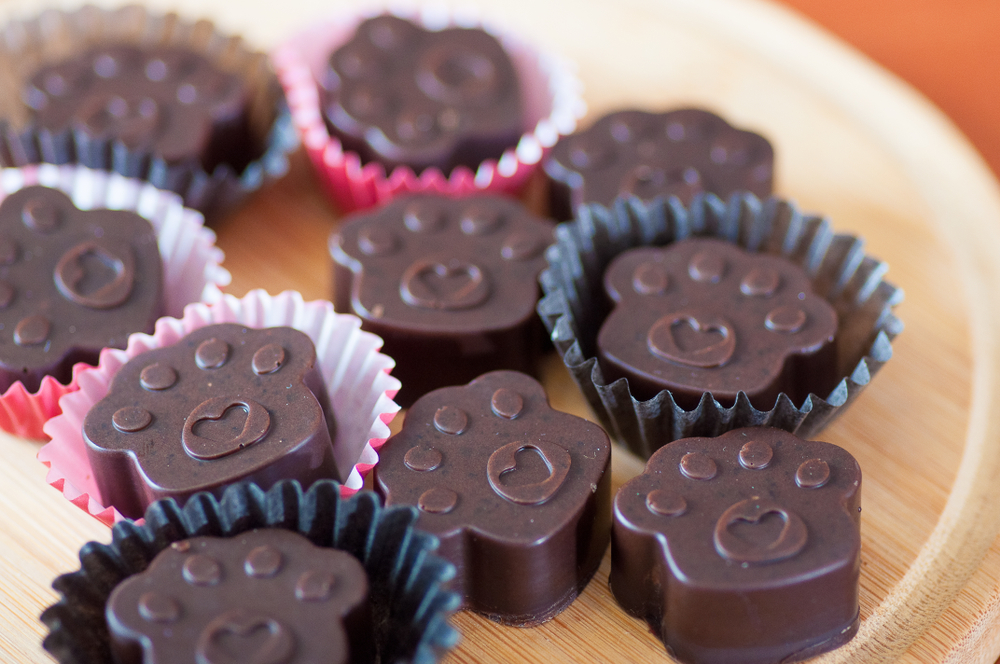 5 Vet-Approved Carob Dog Treat Recipes to Make at Home