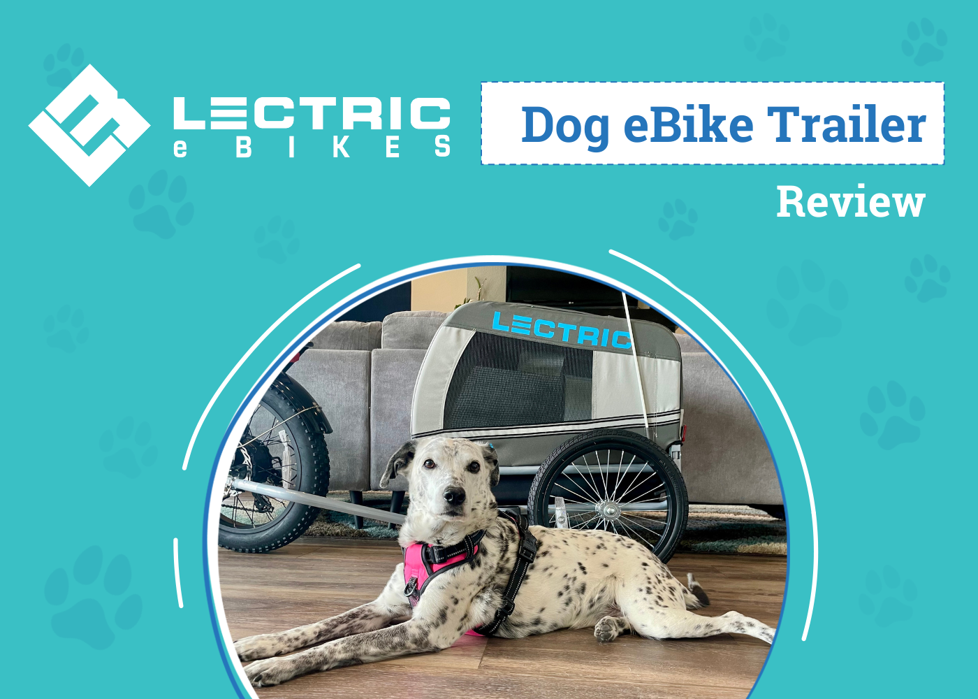 Lectric eBikes XP 3.0 & Pet Trailer Review 2026: An Expert’s Breakdown
