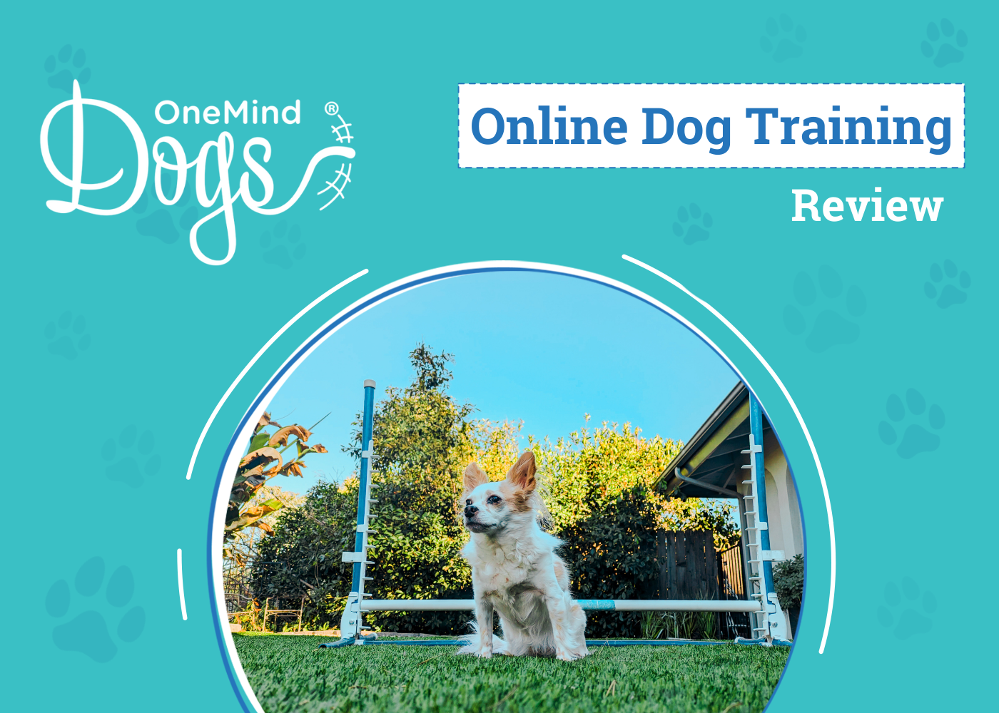 OneMind Dogs Online Training Review 2026: Lorelei Goes Back To School
