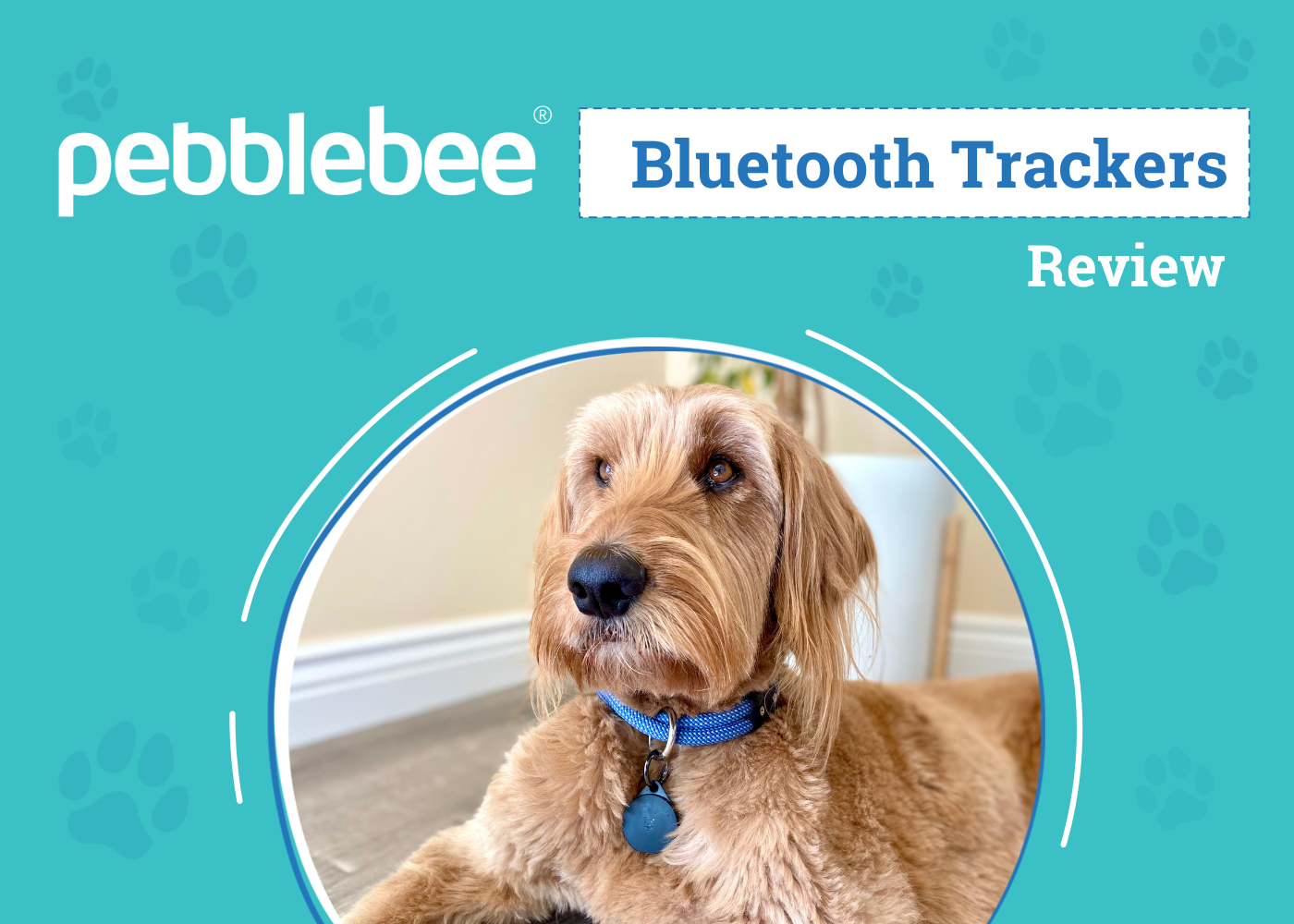 Pebblebee Bluetooth Tracker Reviews 2026: An Expert’s Breakdown