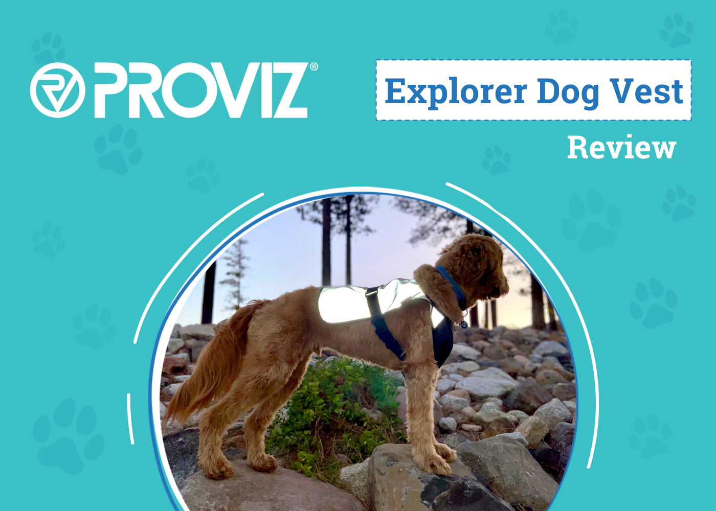 Proviz Explorer Dog Vest Review 2026: Can Everybody See Micah at Night?