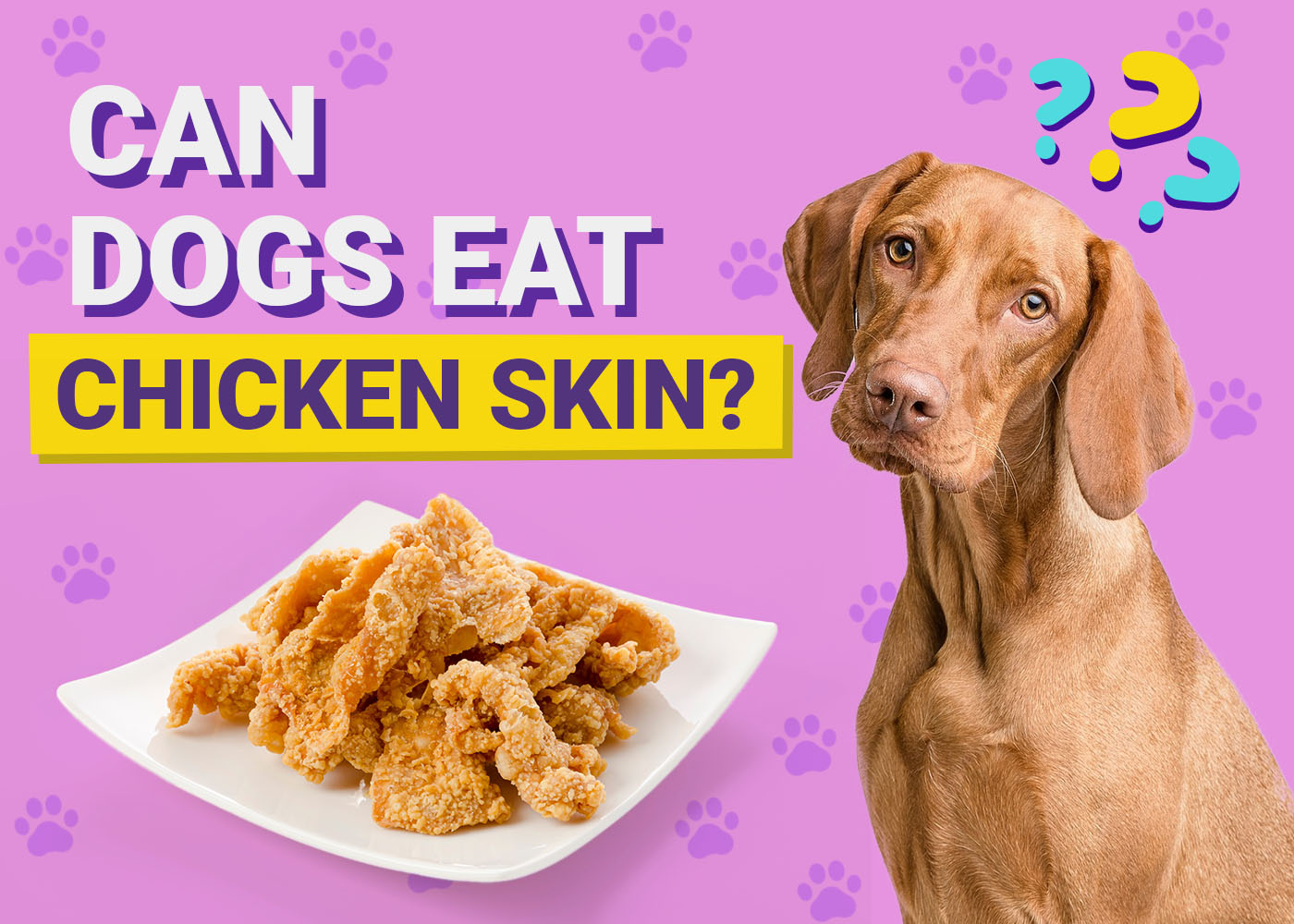 Can Dogs Eat Chicken Skin? Vet-Verified Nutrition Facts & FAQ