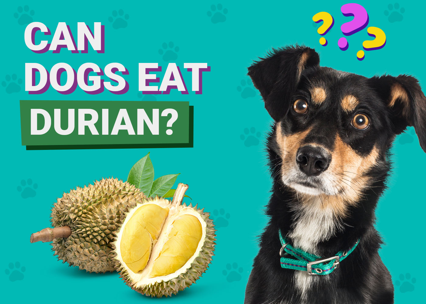 Can Dogs Eat Durian? Vet-Verified Nutrition Facts & Safer Alternatives