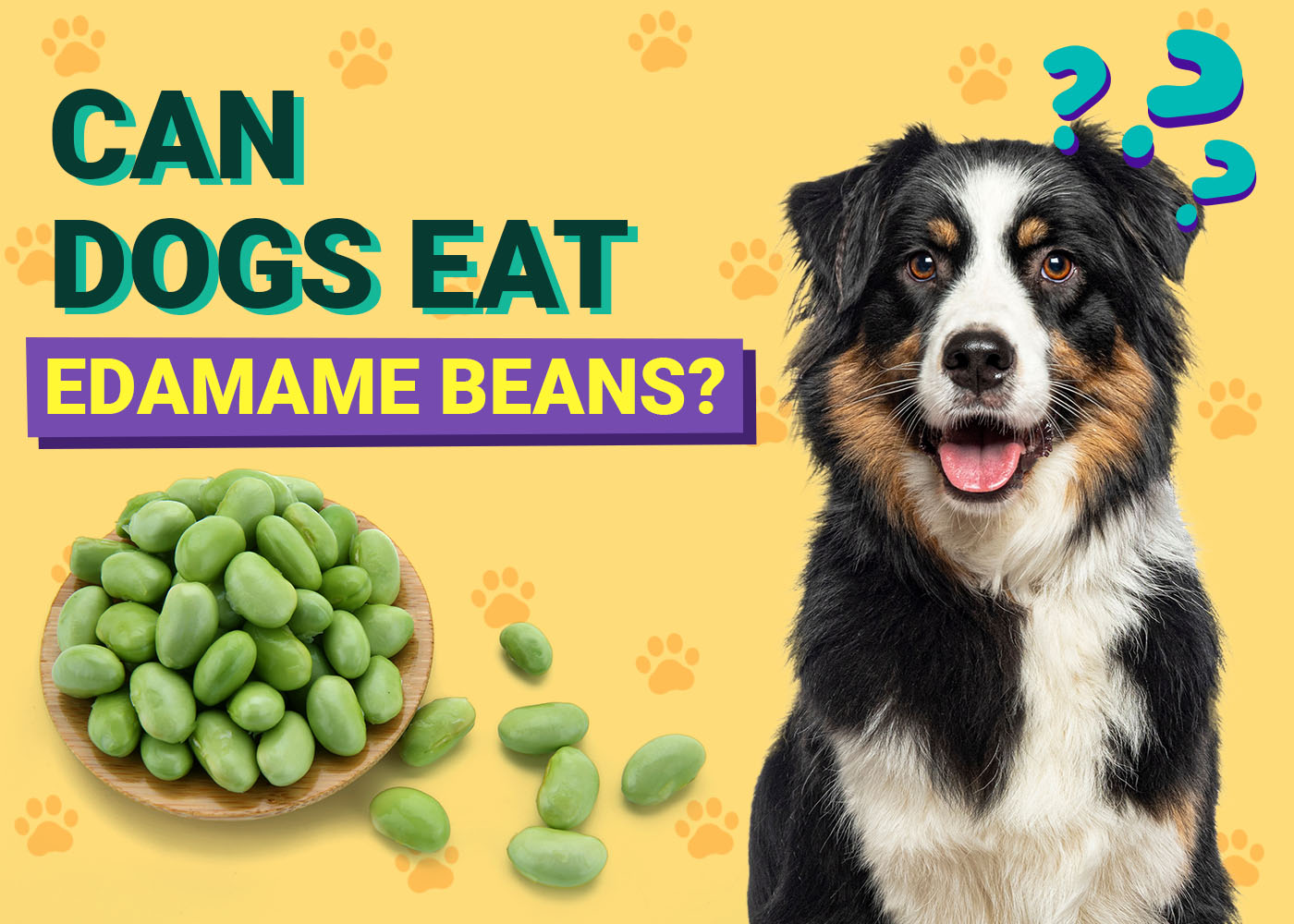 Can Dogs Eat Edamame Beans? Vet-Verified Nutrition Facts, Benefits & More