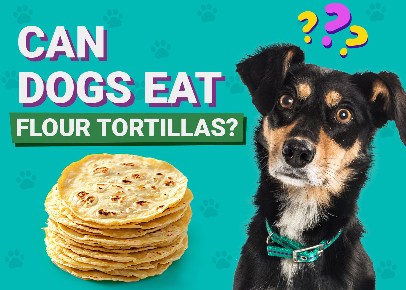 Can Dogs Eat Flour Tortillas? Vet-Verified Nutrition Facts & Info