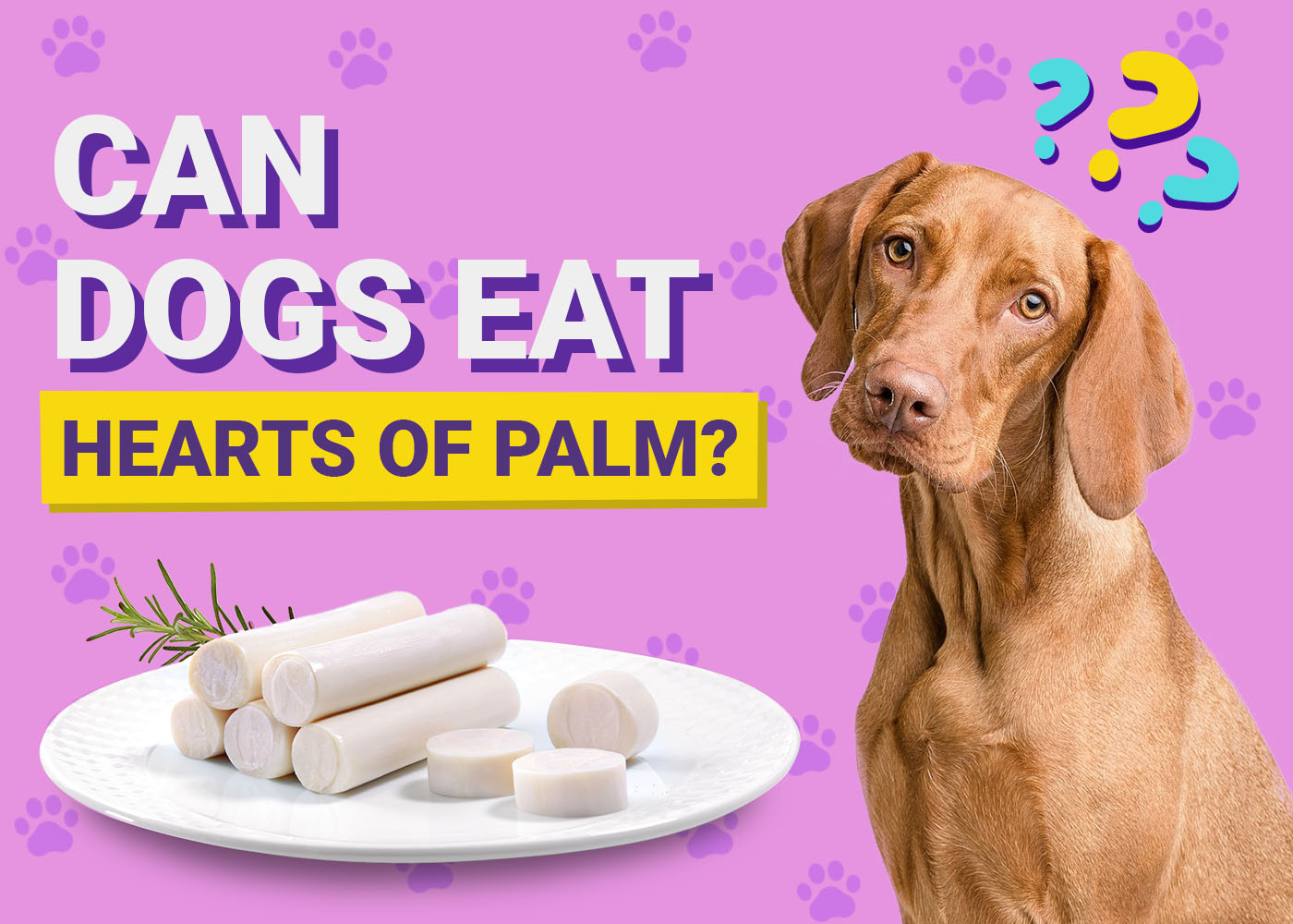 Can Dogs Eat Hearts of Palm? Vet-Verified Nutrition Facts & Considerations
