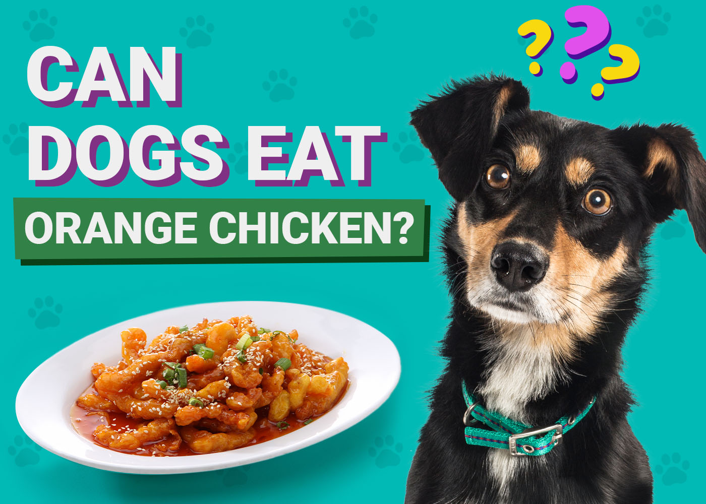 Can Dogs Eat Orange Chicken? Vet-Verified Facts & Better Alternatives