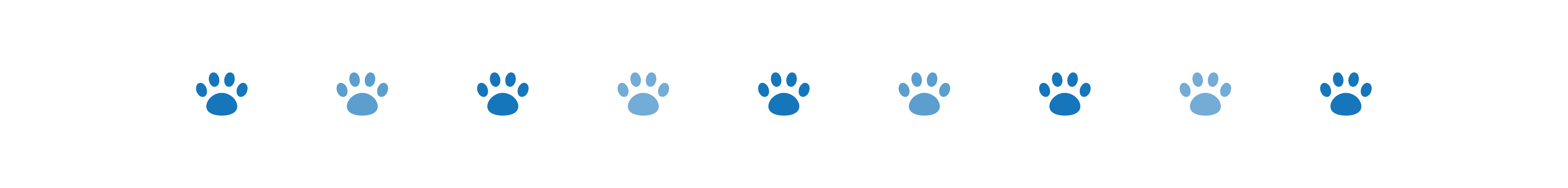 divider dog paws 3 oct 2024