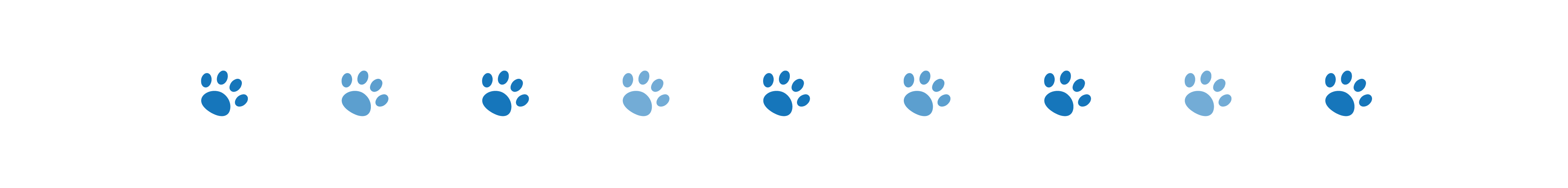divider dog paws 2 oct 2024