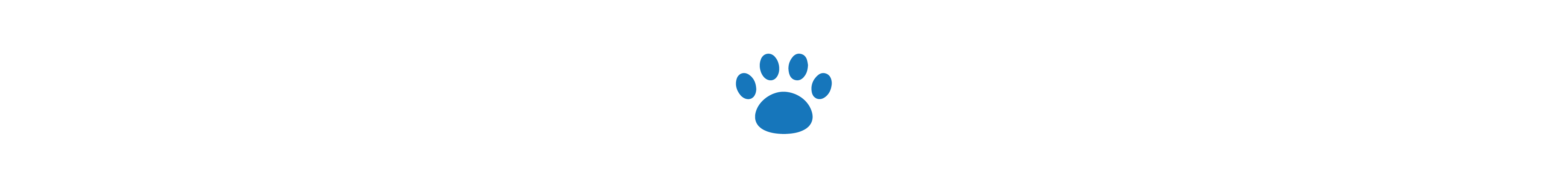 divider single dog paw oct 2024