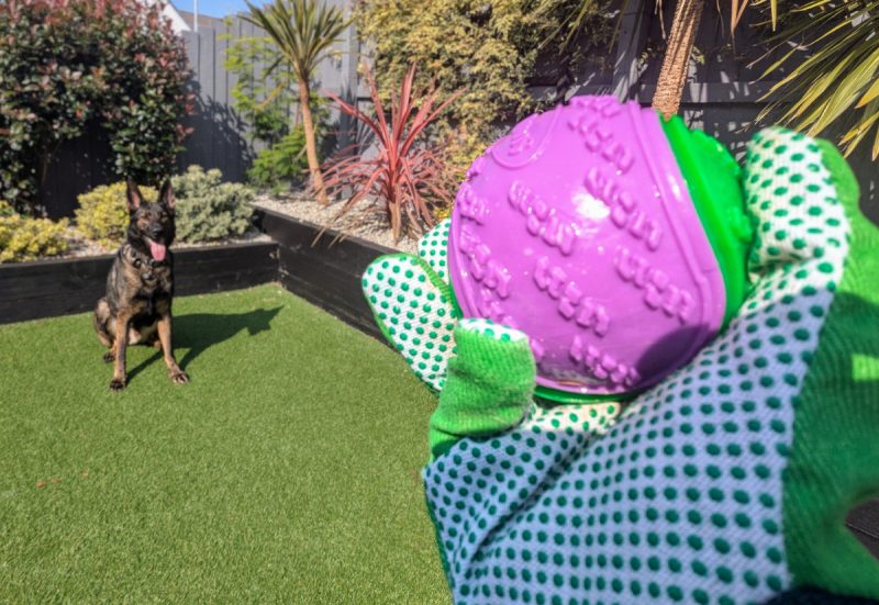 Hate handling a slobbery ball? Grab yourself a gardening glove.