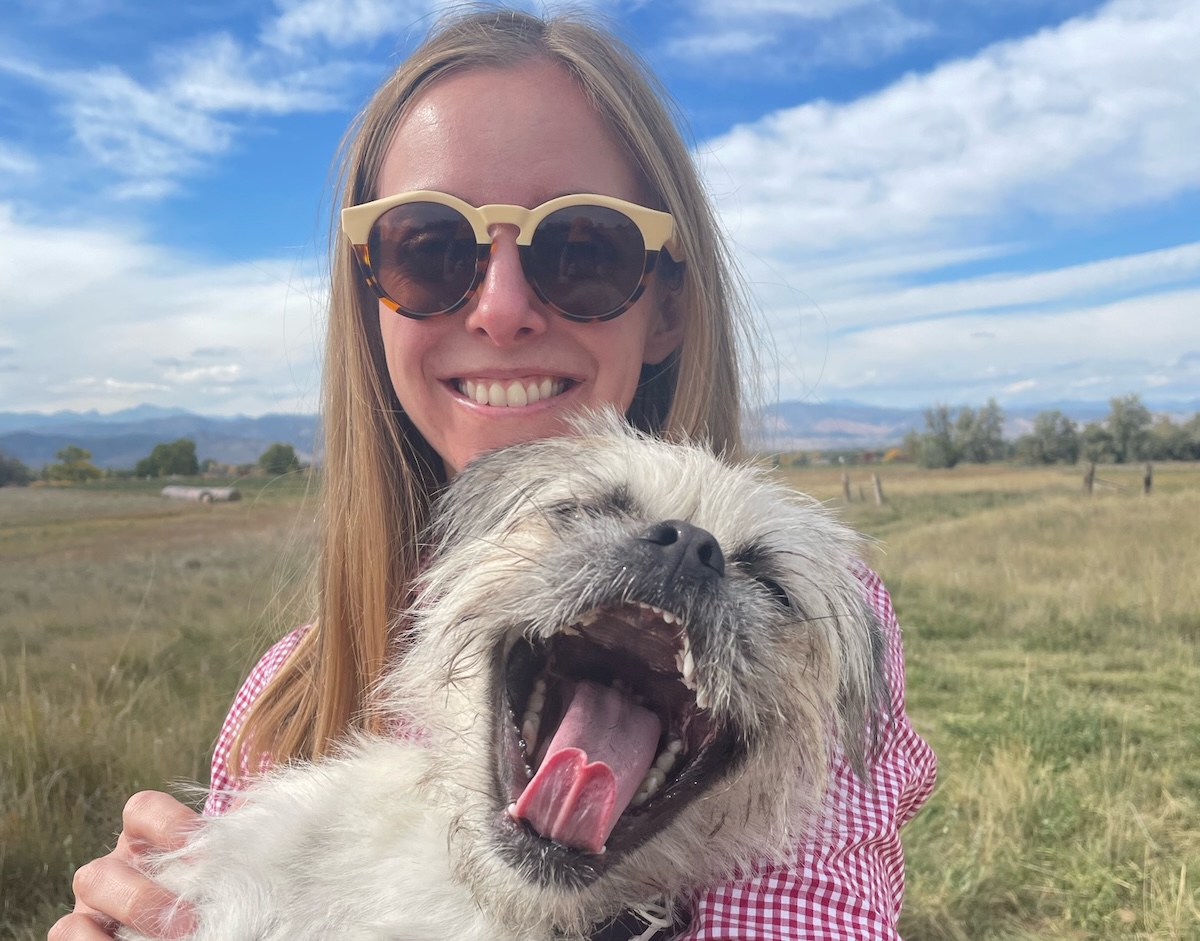 Adopting Gizmo: My Scruffy Little Maniac