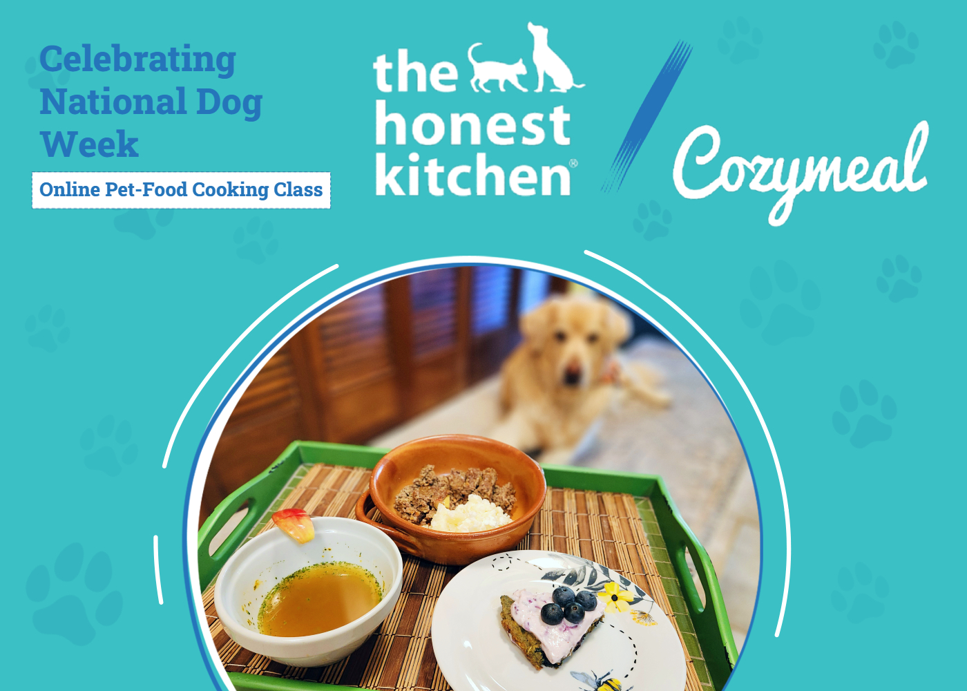 The Honest Kitchen & Cozymeal - National Dog Week Collaboration