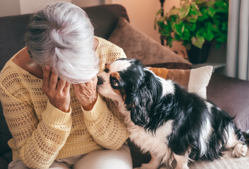 Can Dogs Sense Depression and Anxiety? Vet-Verified Facts & Info