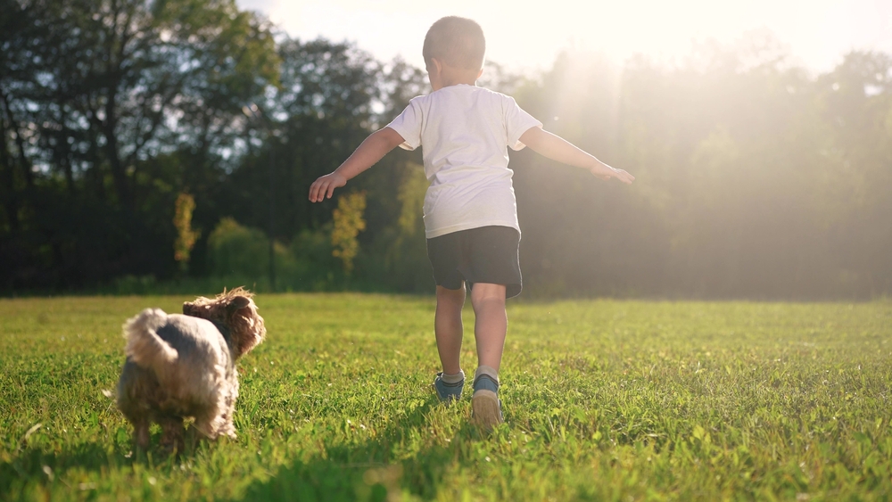 8 Vet-Reviewed Signs a Dog Will Attack a Baby & Tips to Prevent It