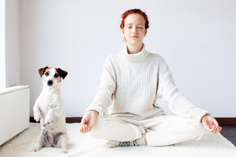 Do Dogs Have Chakras? Interesting Facts & FAQ