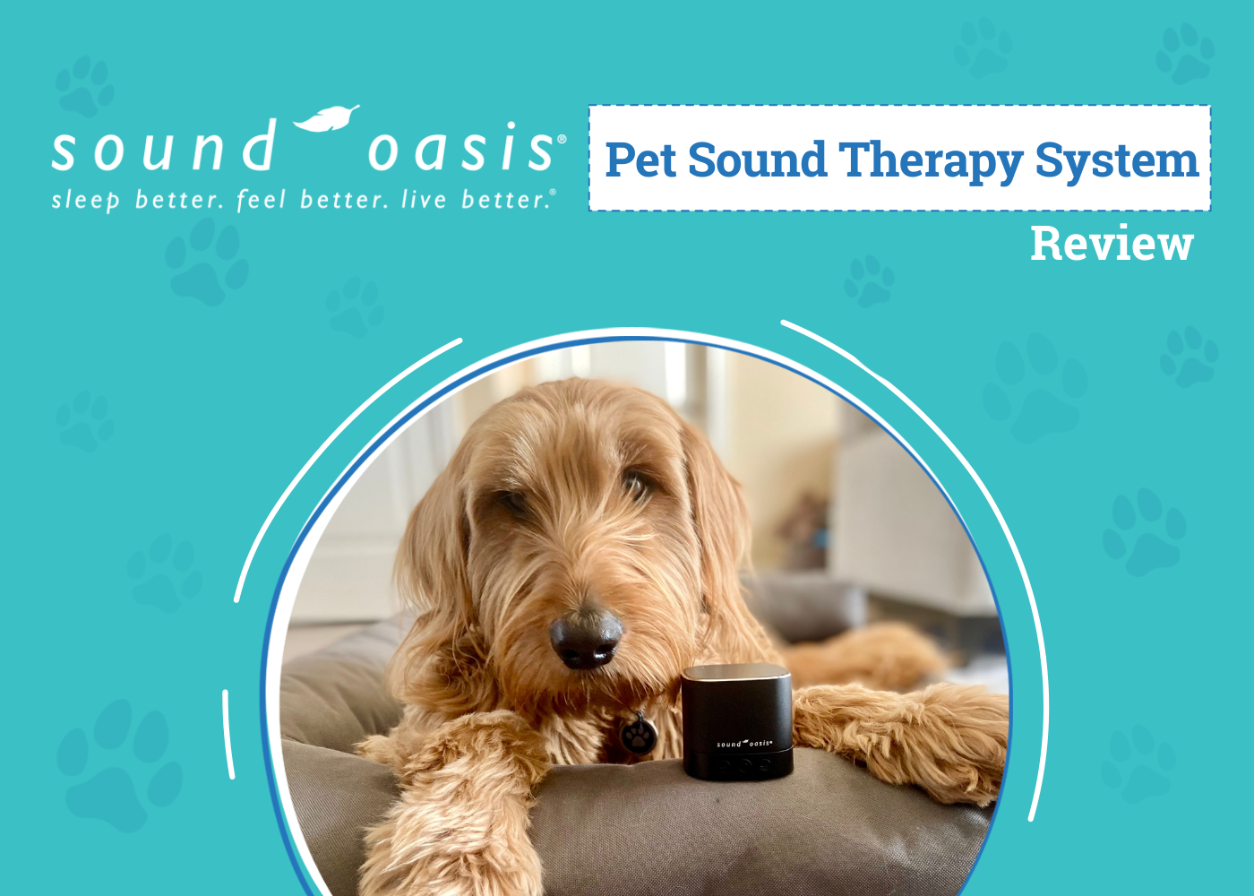 Sound Oasis Pet Sound Therapy System Review 2026: How the Power of Sound Helped My Dog Sleep Better