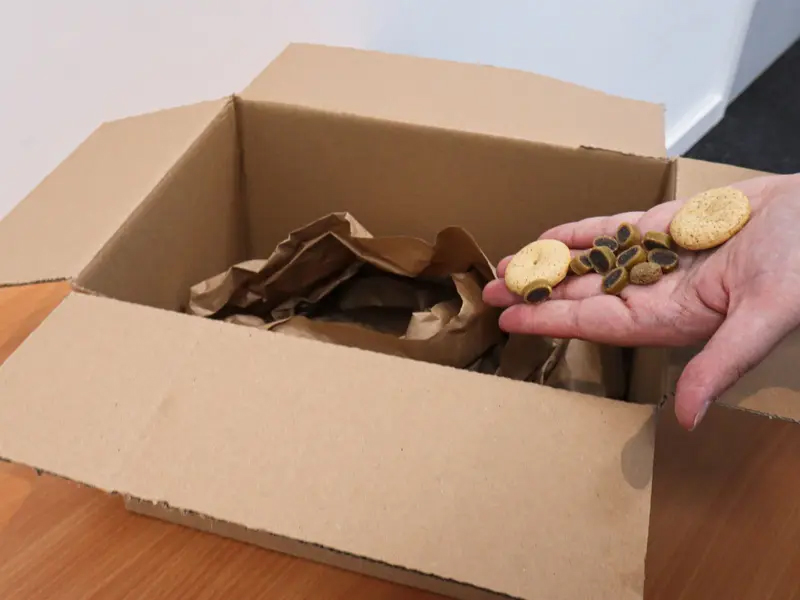 Dig Box