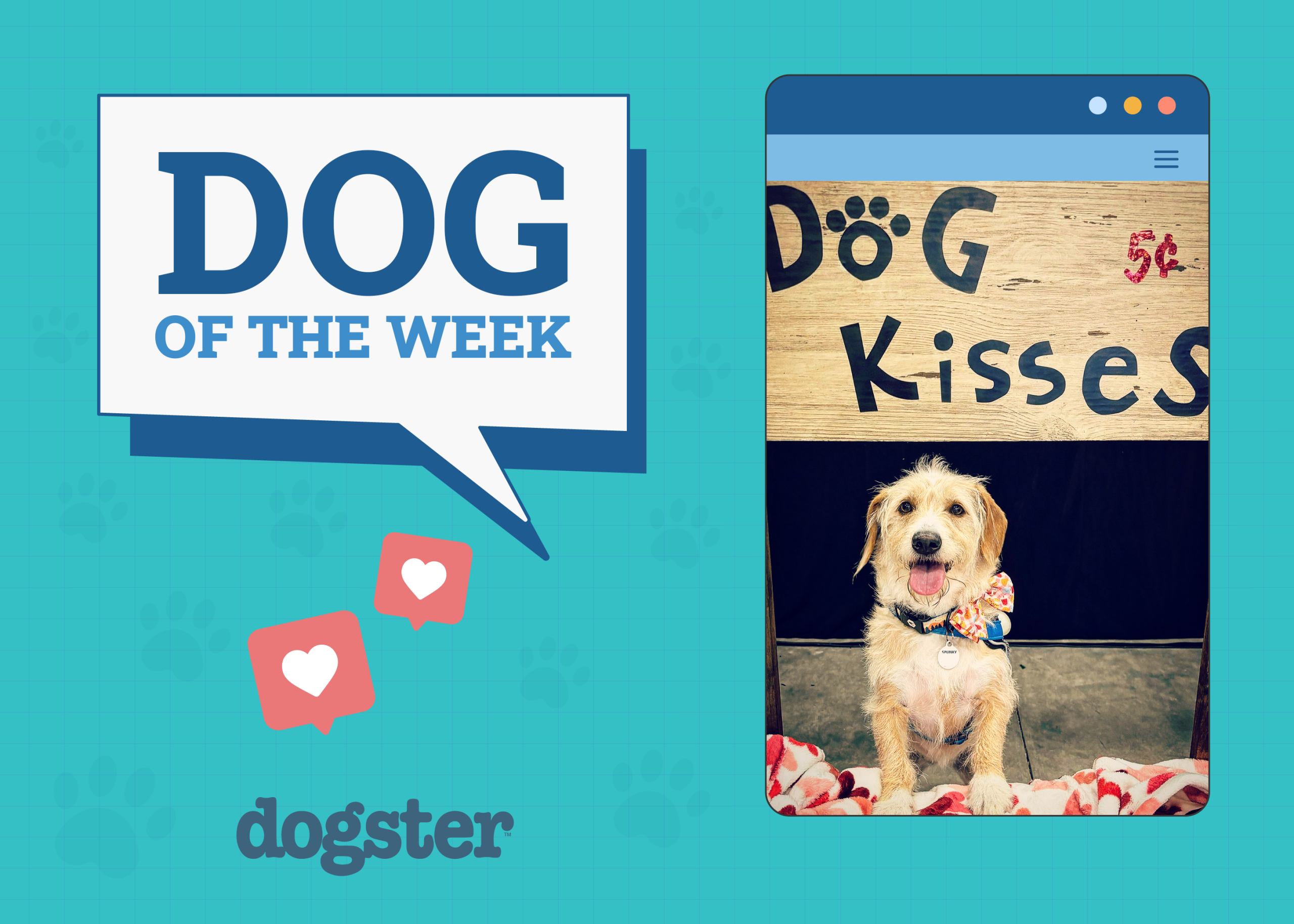 Dogster Photo Contest: Dogs of the Week Winners (November 28, 2024)