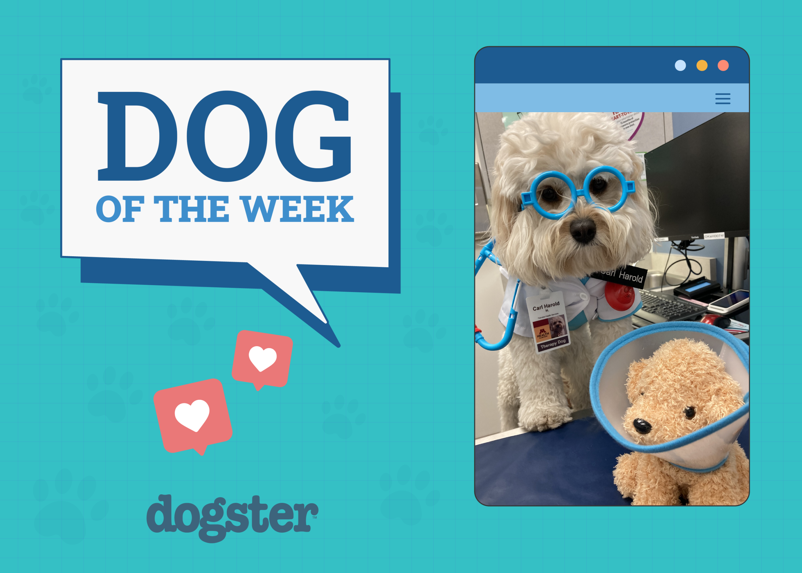 Dogster Photo Contest: Dogs of the Week Winners (November 21, 2024)