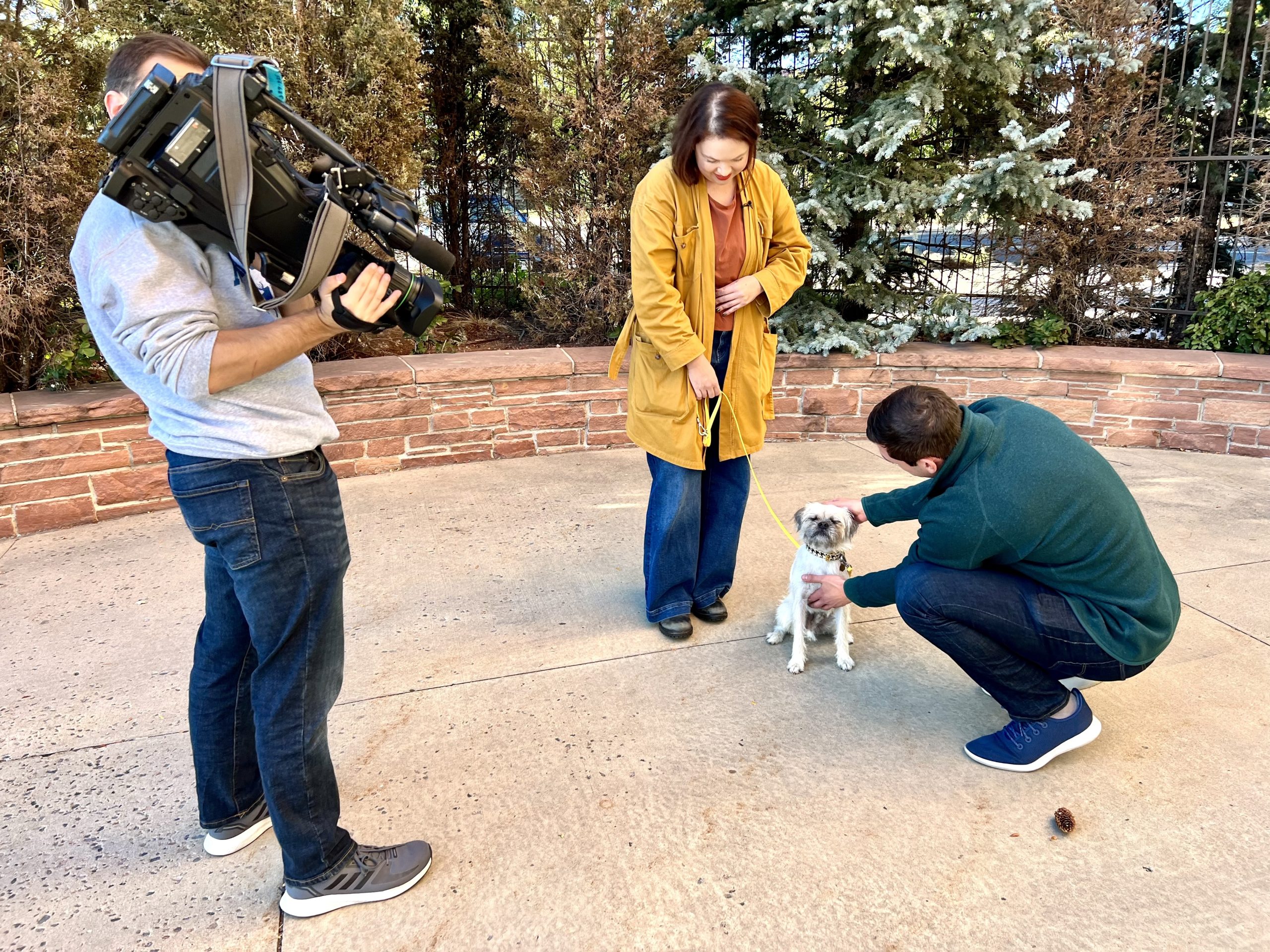 My Dog Is Cuter Than Yours: Gizmo's 15 Minutes of Fame