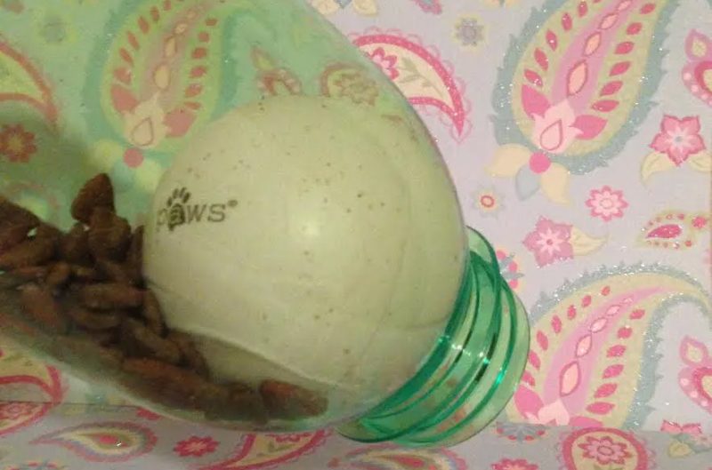 Kibble Bottle Toy