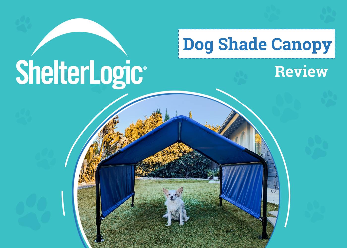 ShelterLogic Dog Shade Canopy Review 2026: Keeping Lorelei Cool in the California Heat