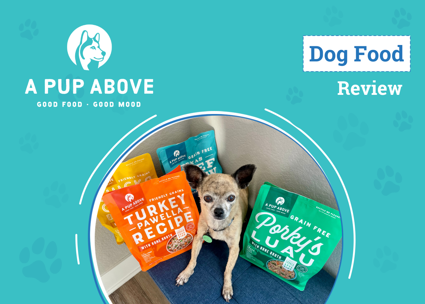 A Pup Above Dog Food Review 2026: Why This Food Has Won Over My Pups