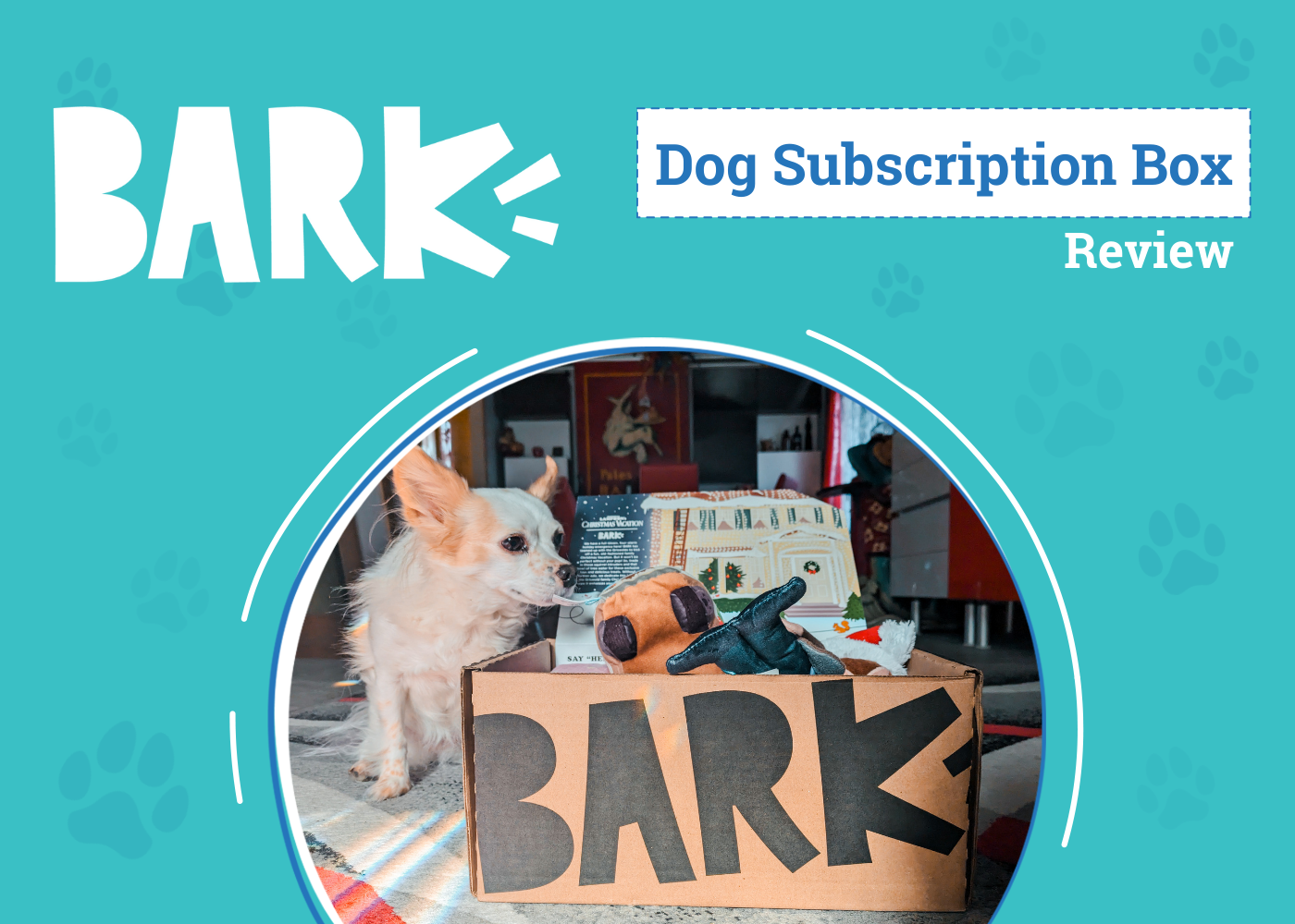 BarkBox Subscription Review 2026: Keeping Your Dog Excited Month After Month