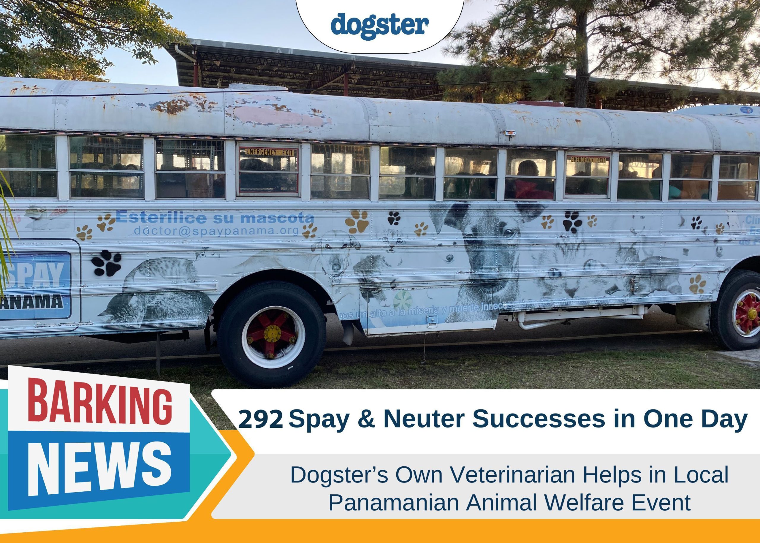 292 Neutering and Spay Successes in One Day: Dogster's Dr. Paola Volunteers in Panama