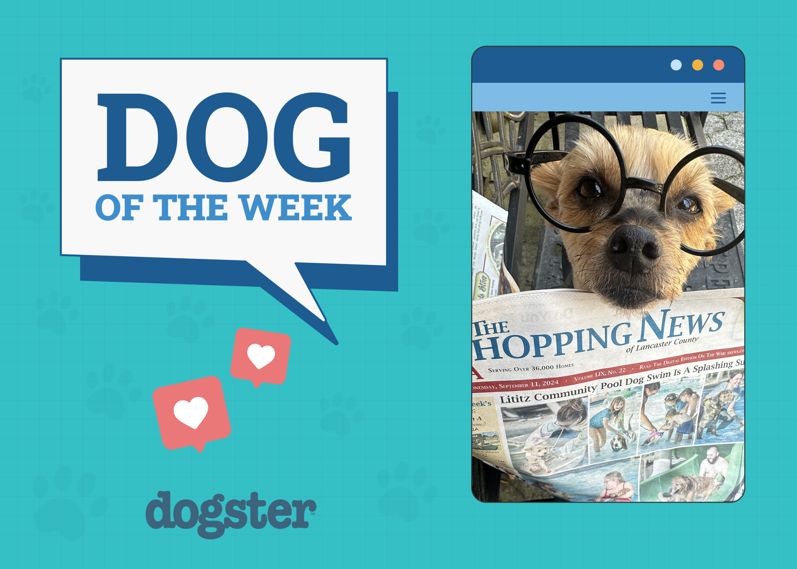 Dogster Photo Contest: Dogs of the Week Winners (December 5, 2024)