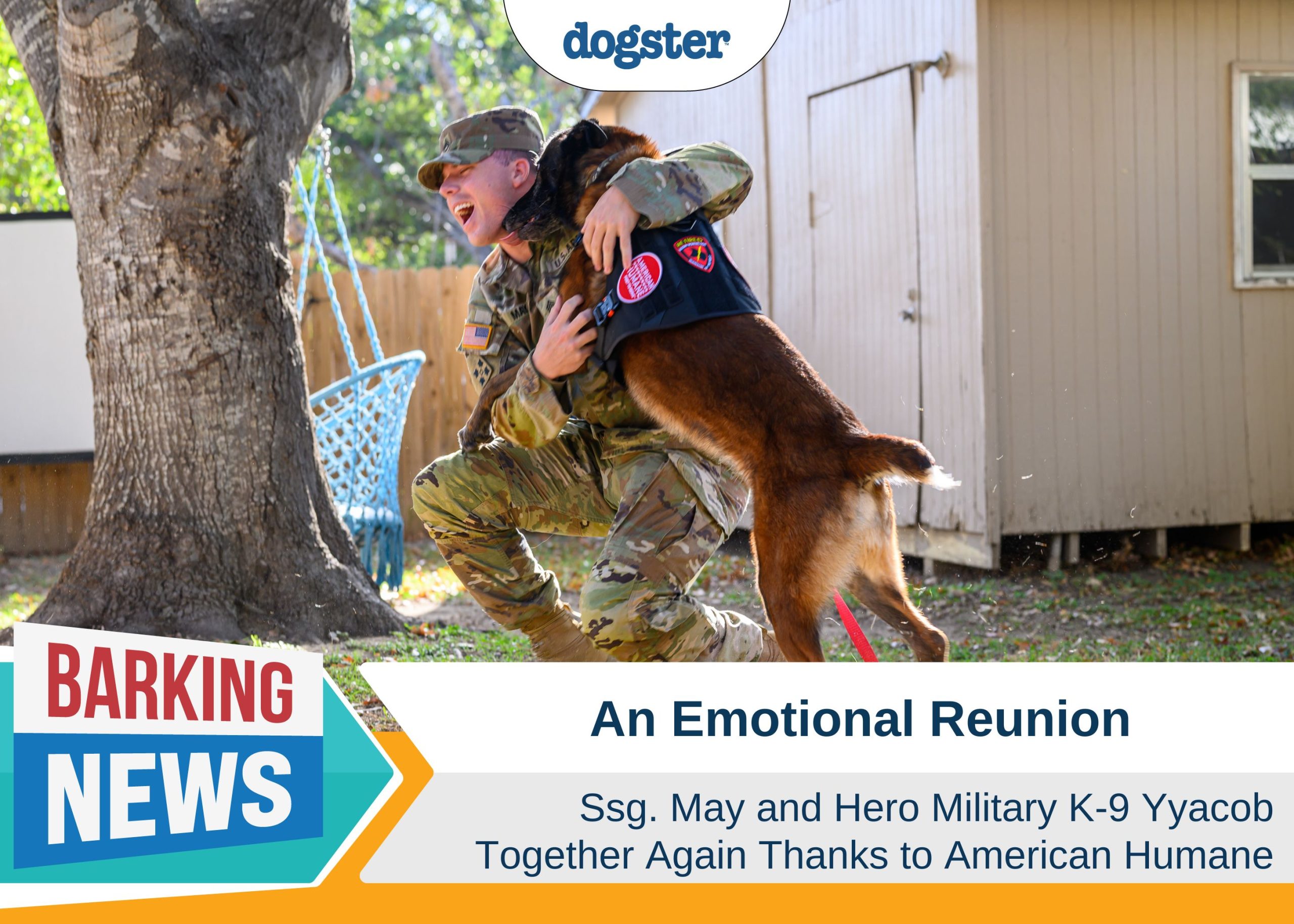 An Emotional Reunion of Ssg. May and Hero Military K-9 Yyacob Thanks to American Humane