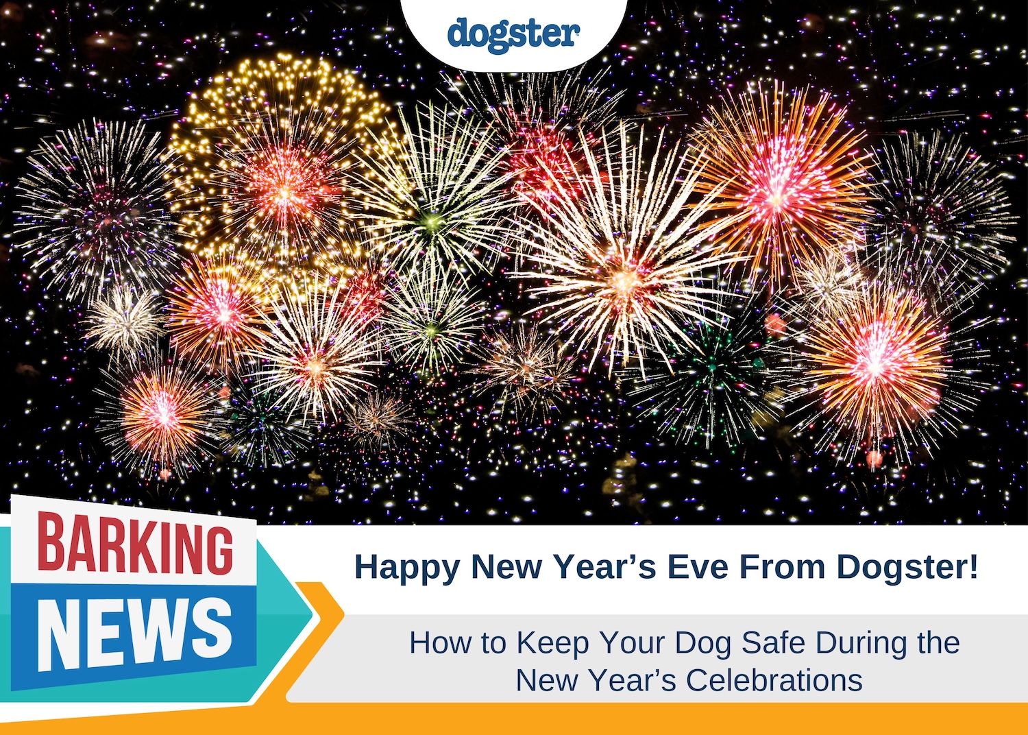 Happy New Year's Eve From Dogster - How to Keep Your Dog Safe During Fireworks