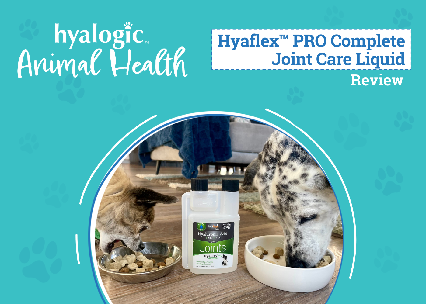 Hyaflex™ PRO Complete Joint Care Liquid Review 2026: Our Hands-On Test