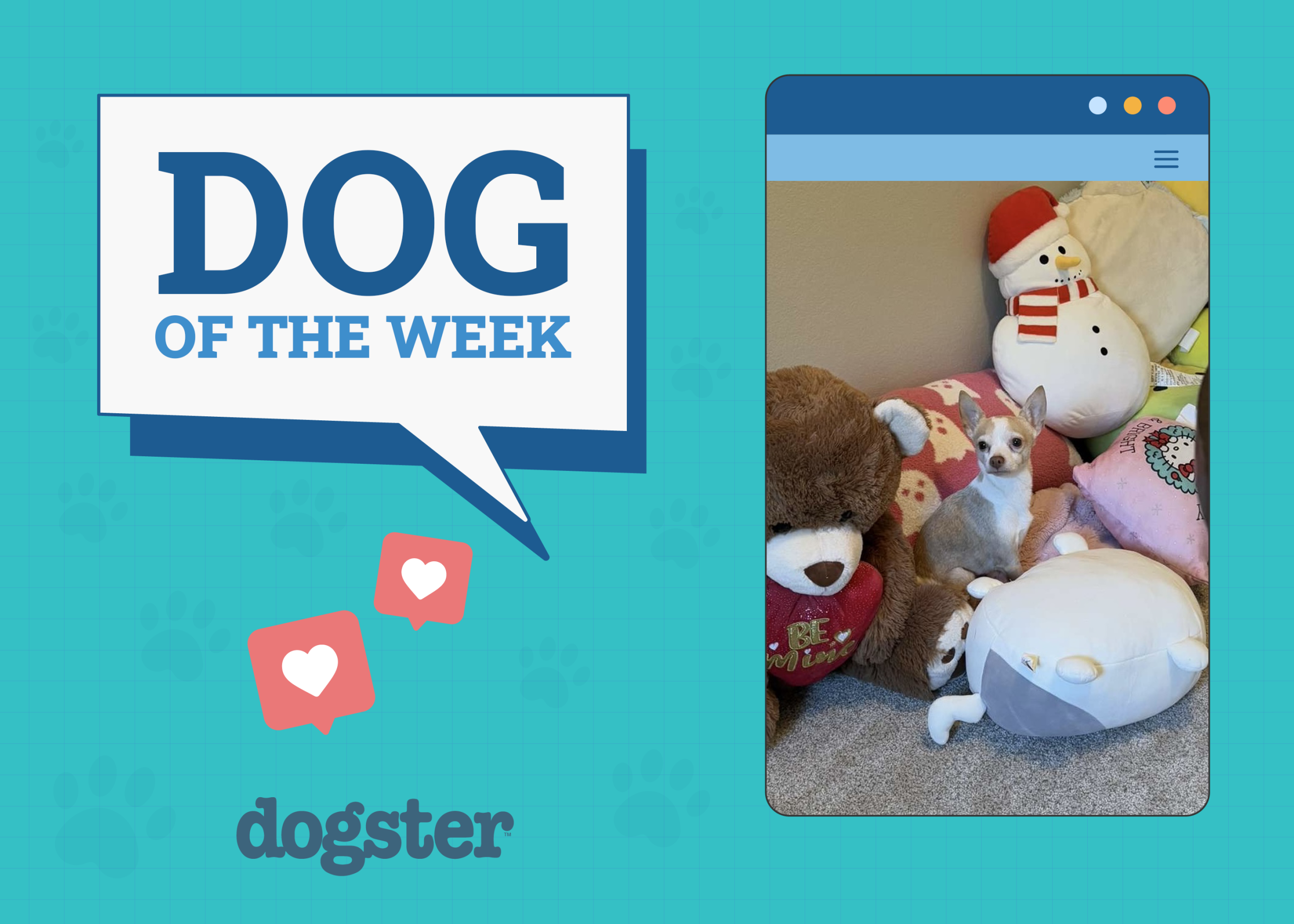 Dogster Photo Contest: Dogs of the Week Winners (Jan 30, 2025)