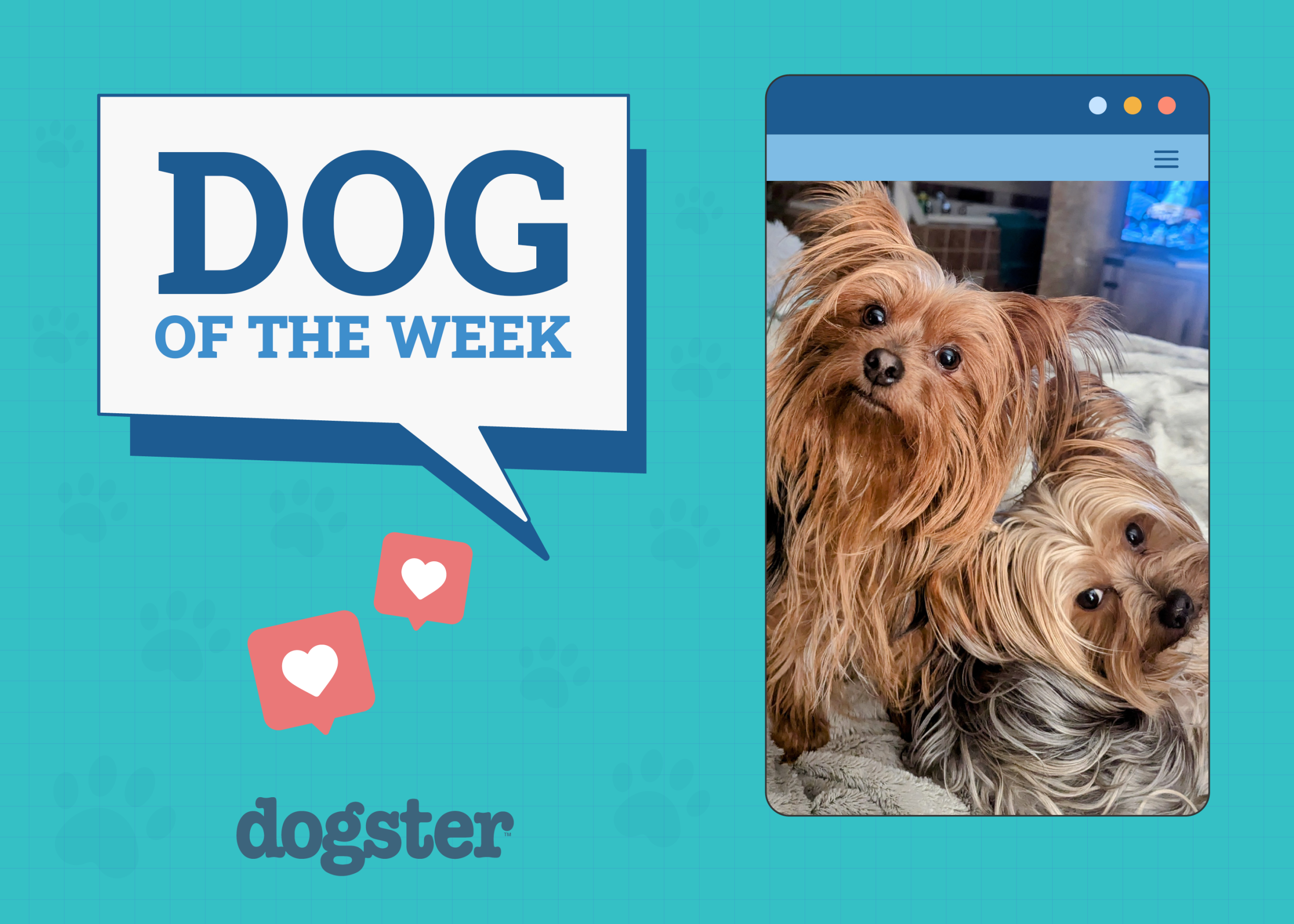Dogster Photo Contest: Dogs of the Week Winners (Jan 23, 2025)