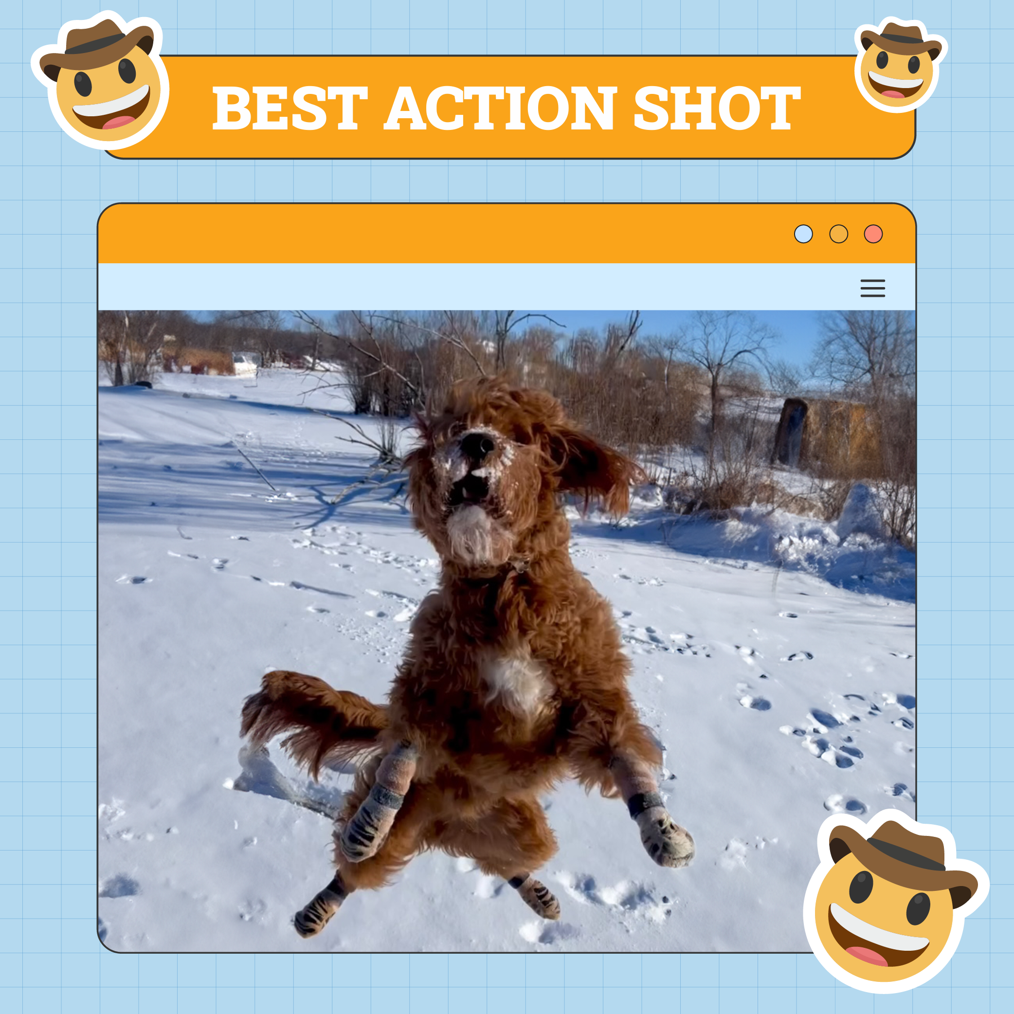 Best Action Dog
