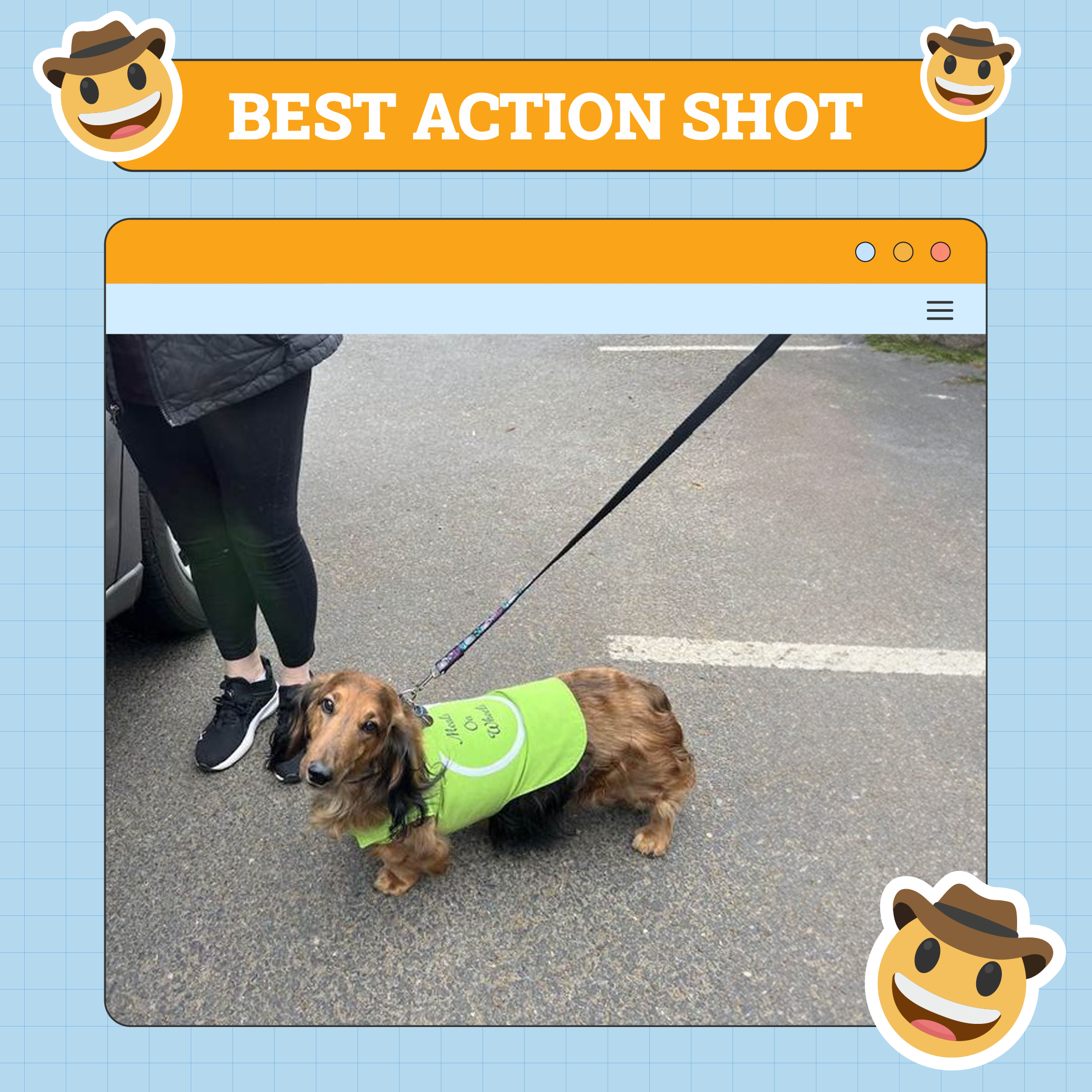 Best Action Shot Dog