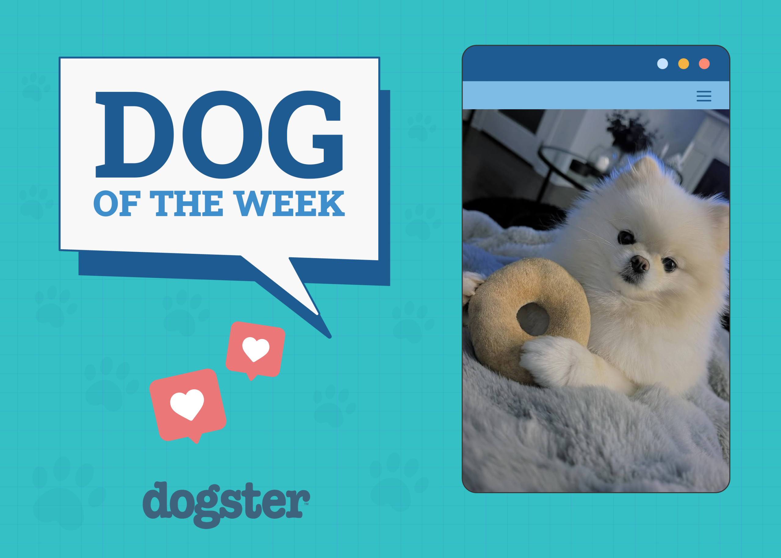 Dogster Photo Contest: Dogs of the Week Winners (Feb 20, 2025)