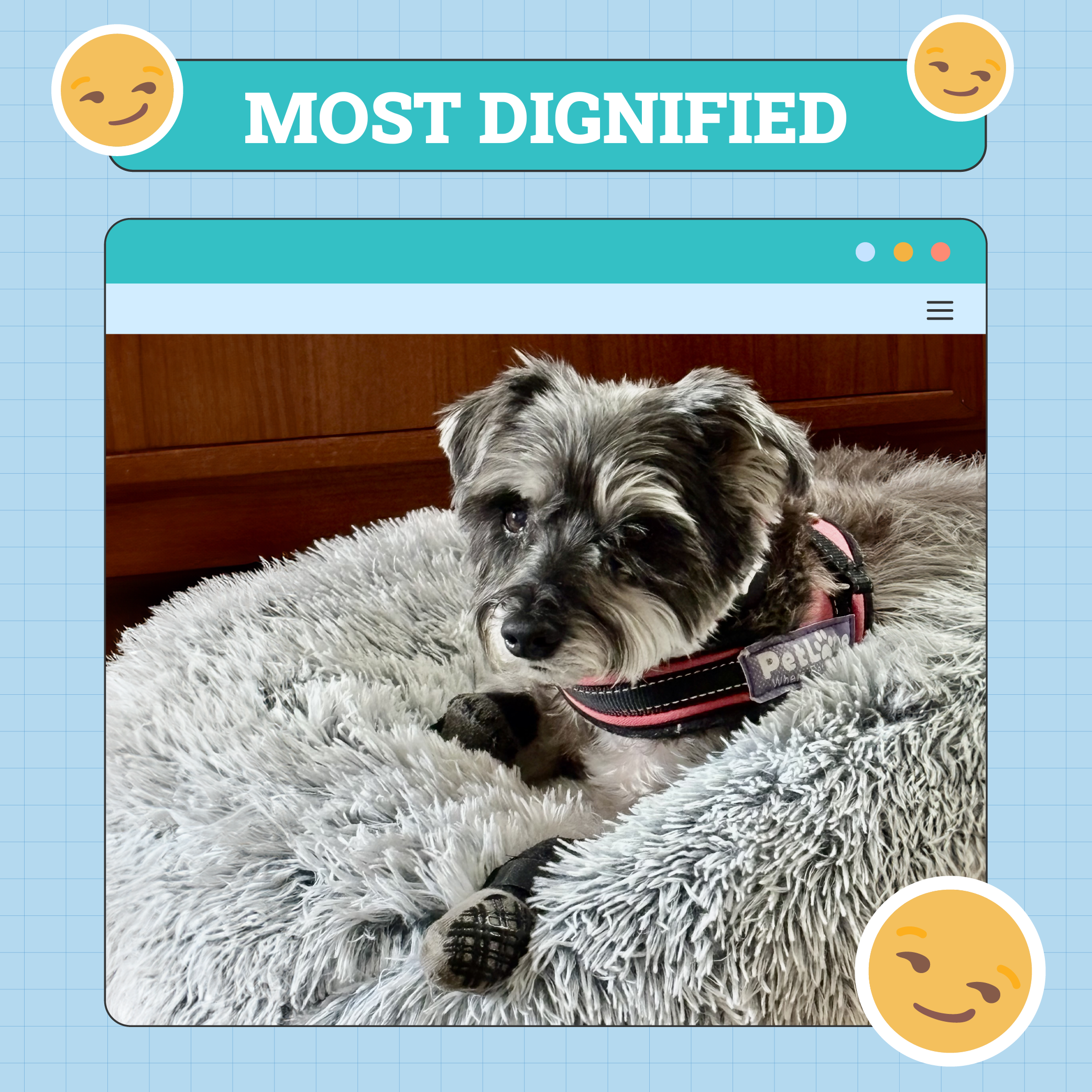 Most Dignified