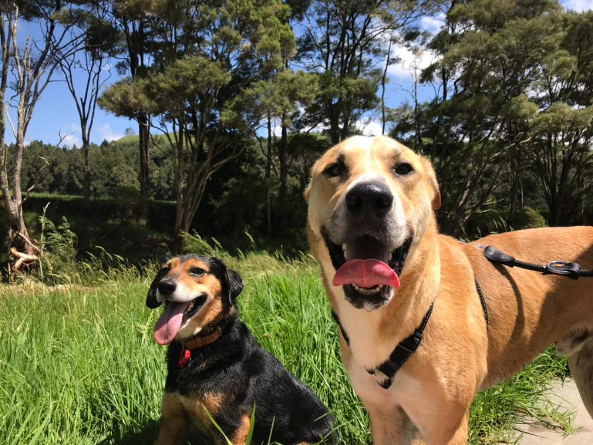 Rosa and Mac