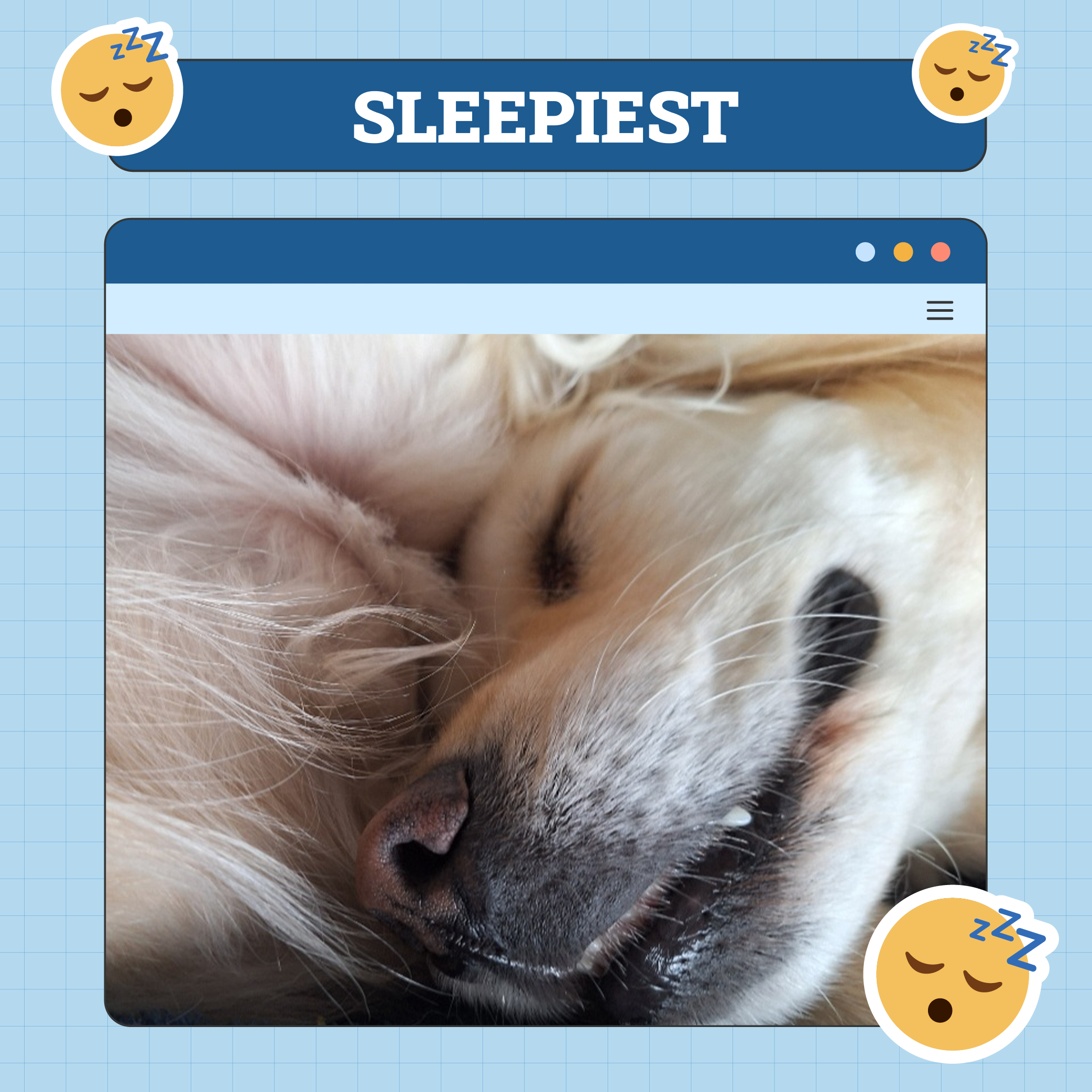 Sleepiest