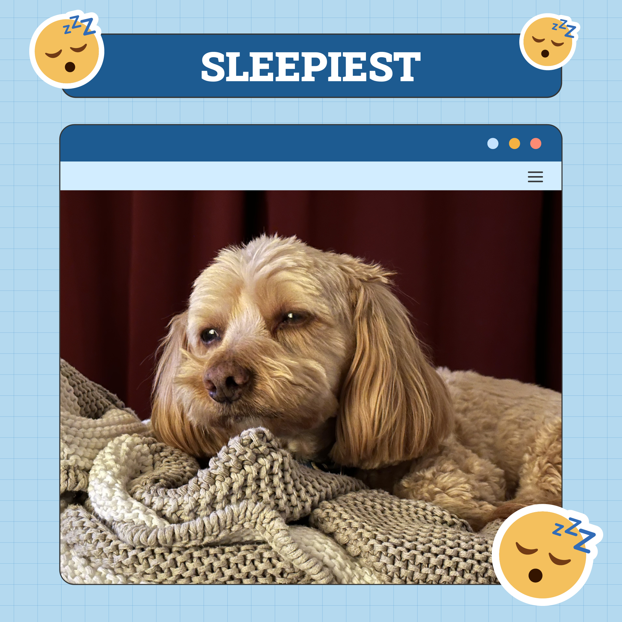 Sleepiest
