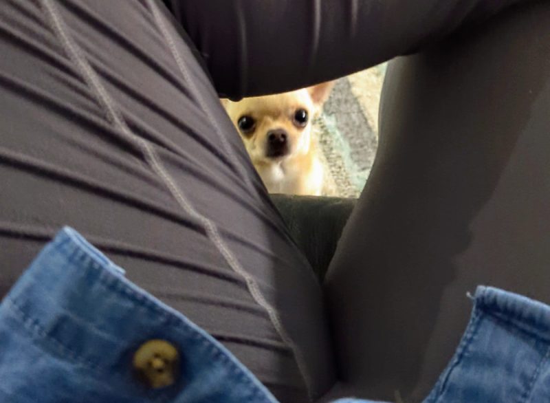 Hellooooooo!