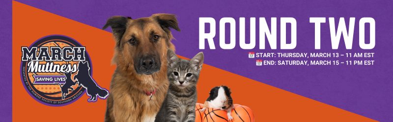March Muttness Round Two
