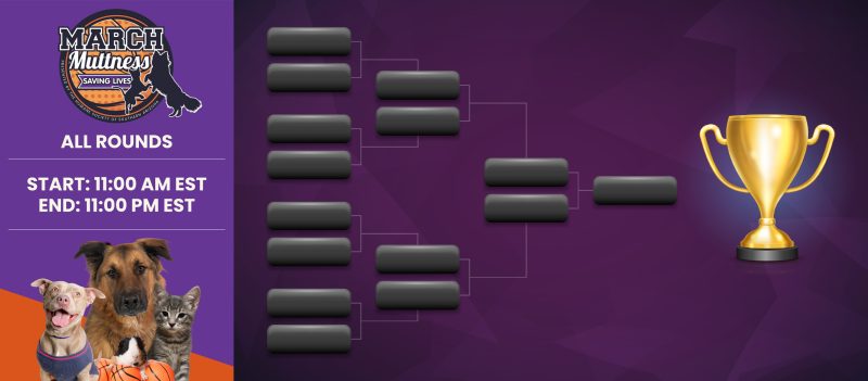 March Muttness Tournament