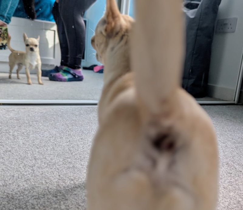 Ned is getting fed up with me trying to get his not-so-good side