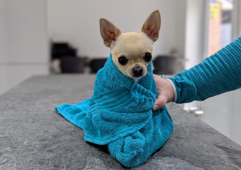 Anyone order a Neddy burrito?
